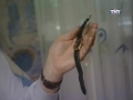 уцелевшие часы Алексей Сидорова