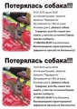Анна Касаткина 89652917521  Москве района Кунцево